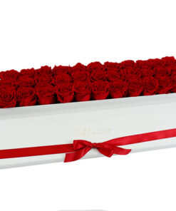 rdeče vrtnice v podolgovati beli škatli z rdečim trakcem