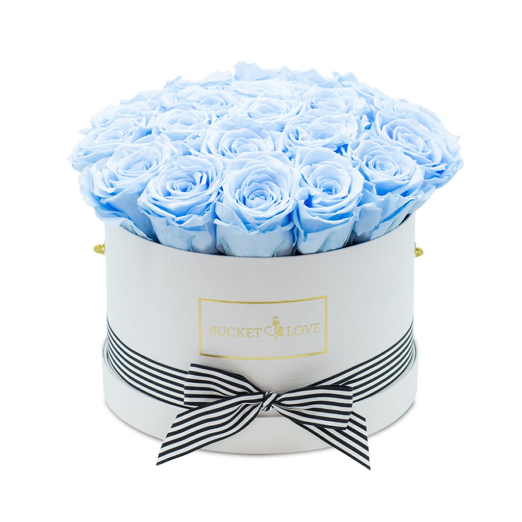 Apricot Elegance (Forever Roses) – image 11