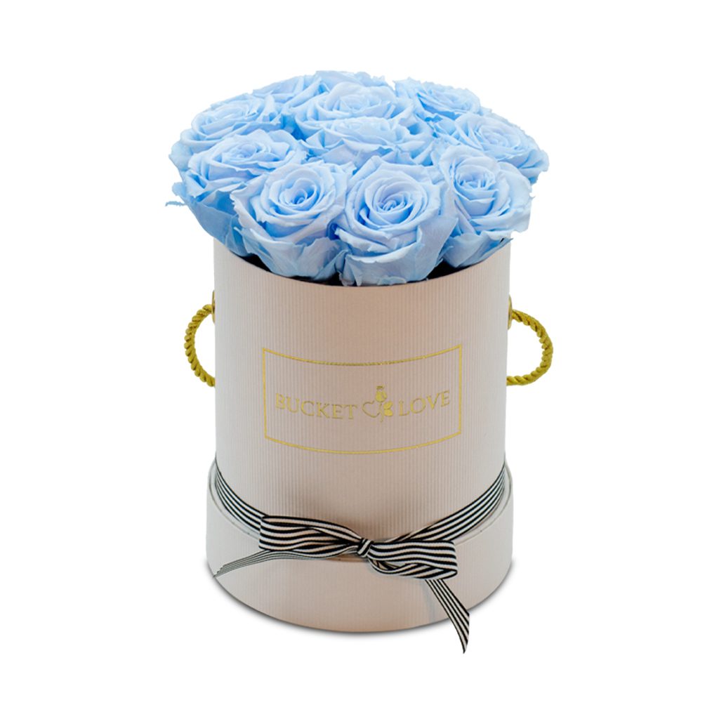 Apricot Elegance (Forever Roses) – image 10