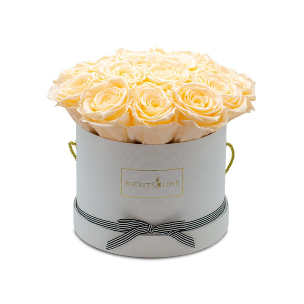Apricot Elegance (Forever Roses) – image 4