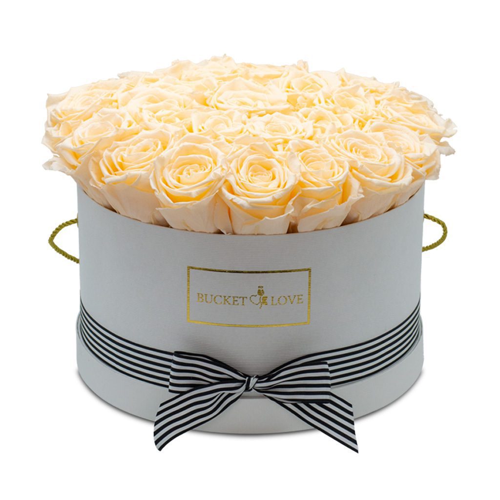 Apricot Elegance (Forever Roses) – image 3