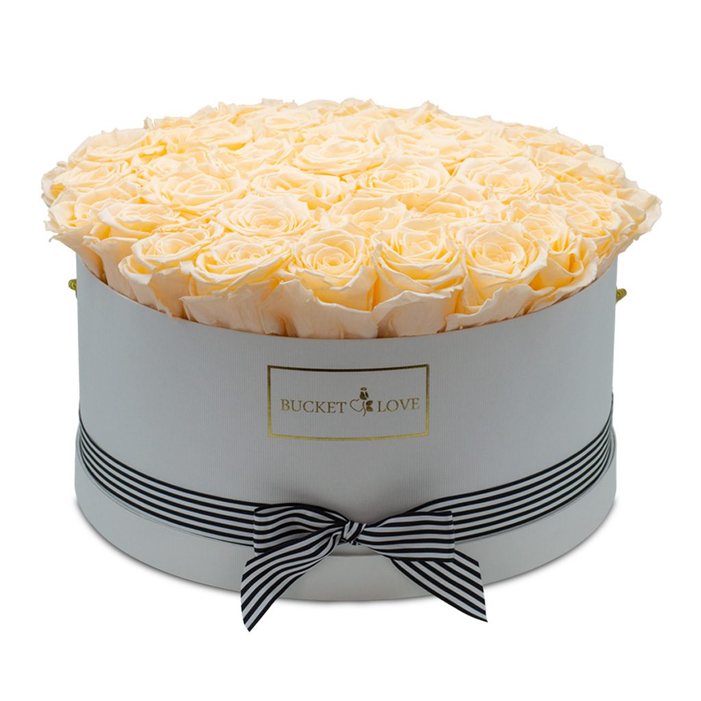 Apricot Elegance (Forever Roses) – image 5