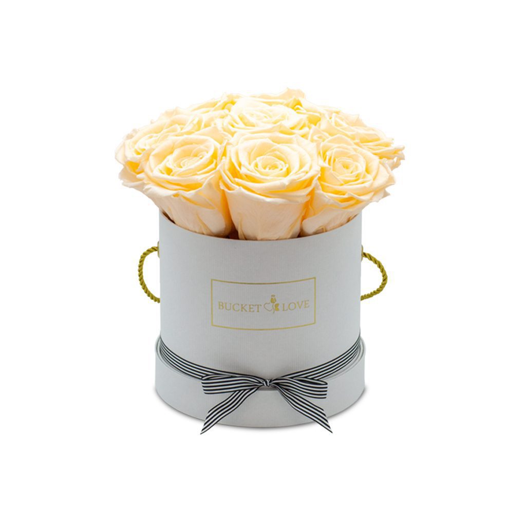 Apricot Elegance (Forever Roses) – image 2
