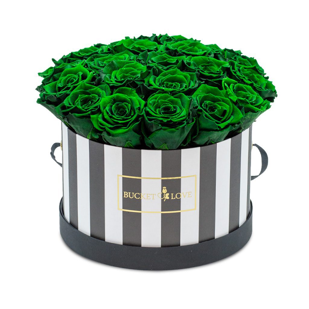 Apricot Elegance (Forever Roses) – image 23