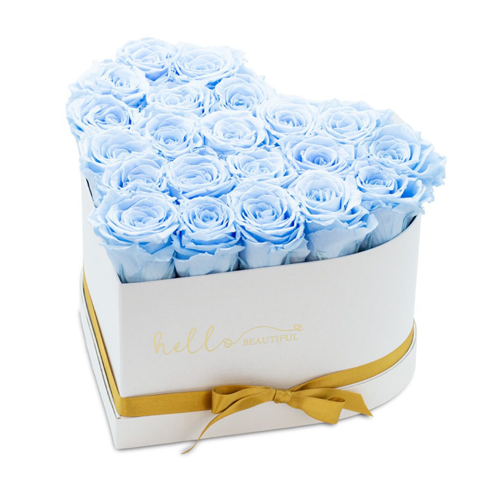 Apricot Elegance (Forever Roses) – image 26