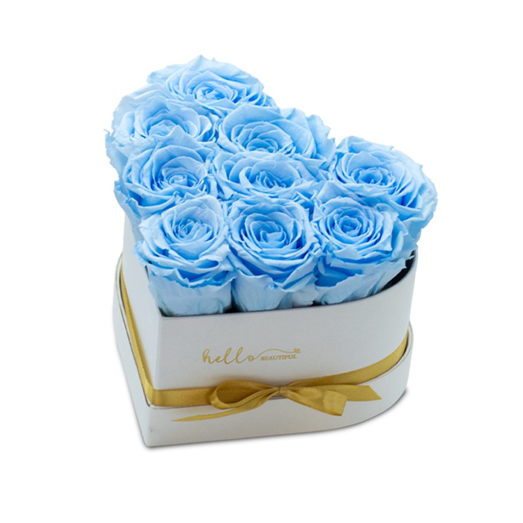 Apricot Elegance (Forever Roses) – image 25