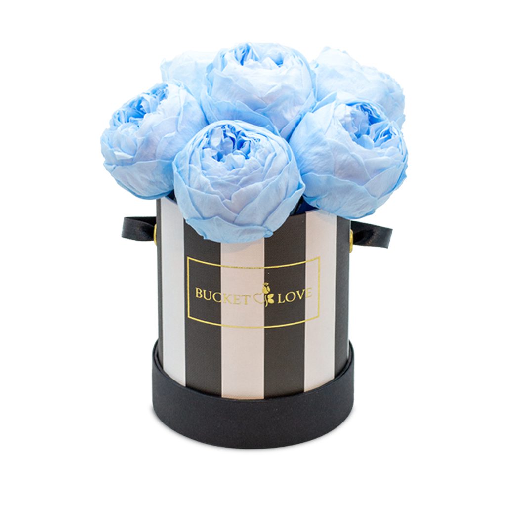 Apricot Elegance (Forever Roses) – image 24