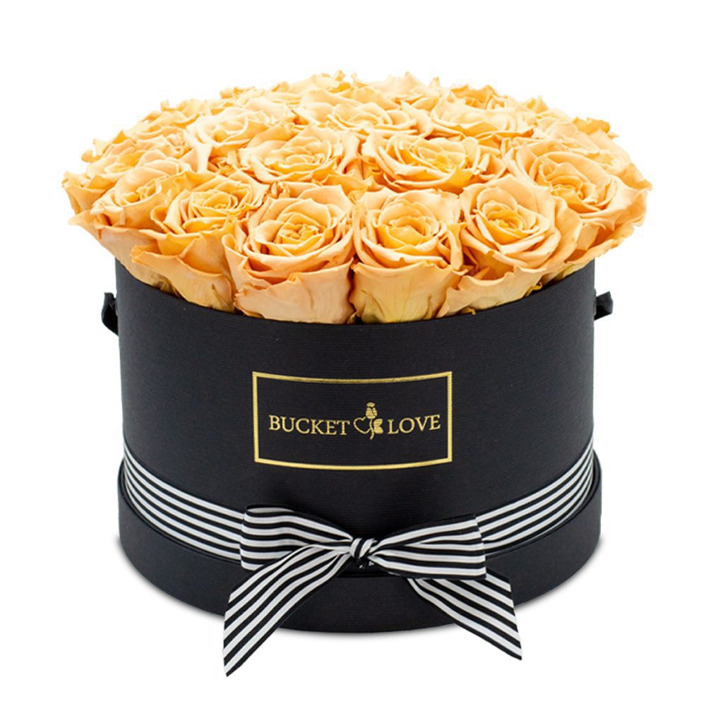 Apricot Elegance (Forever Roses) – image 27