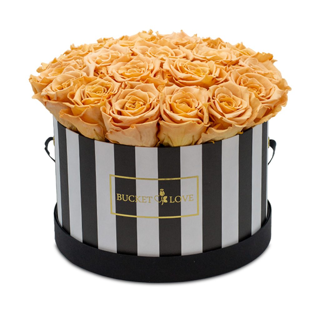 Apricot Elegance (Forever Roses) – image 31