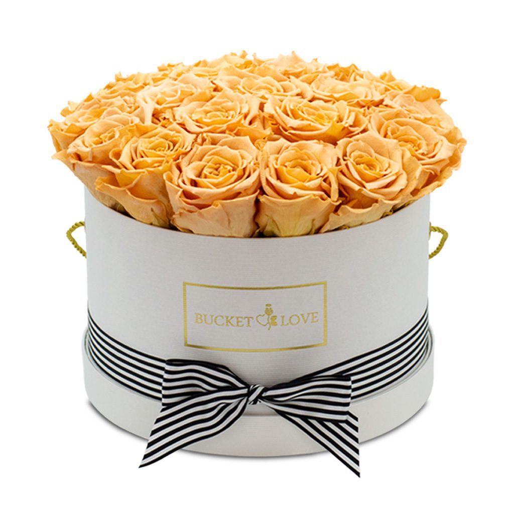 Apricot Elegance (Forever Roses) – image 33