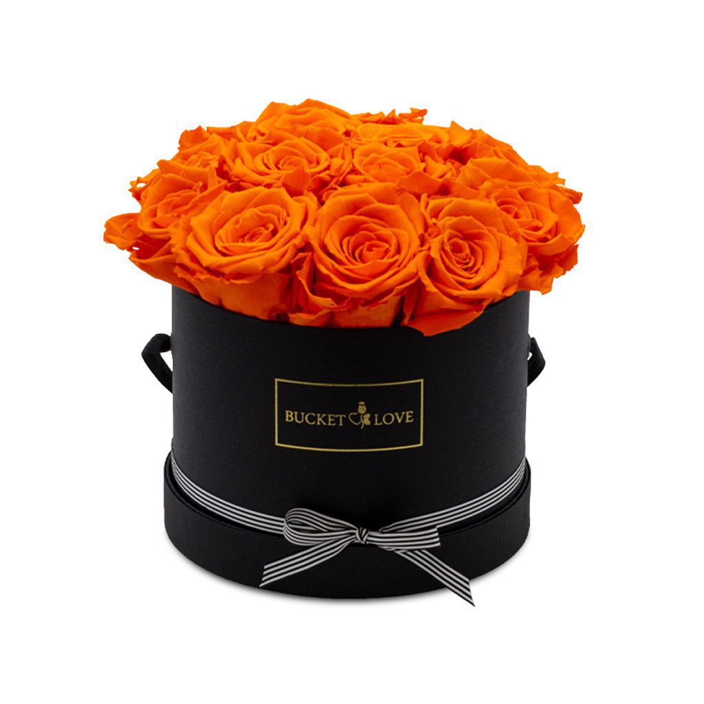 Apricot Elegance (Forever Roses) – image 38