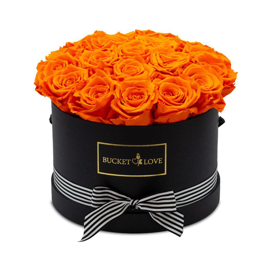 Apricot Elegance (Forever Roses) – image 39