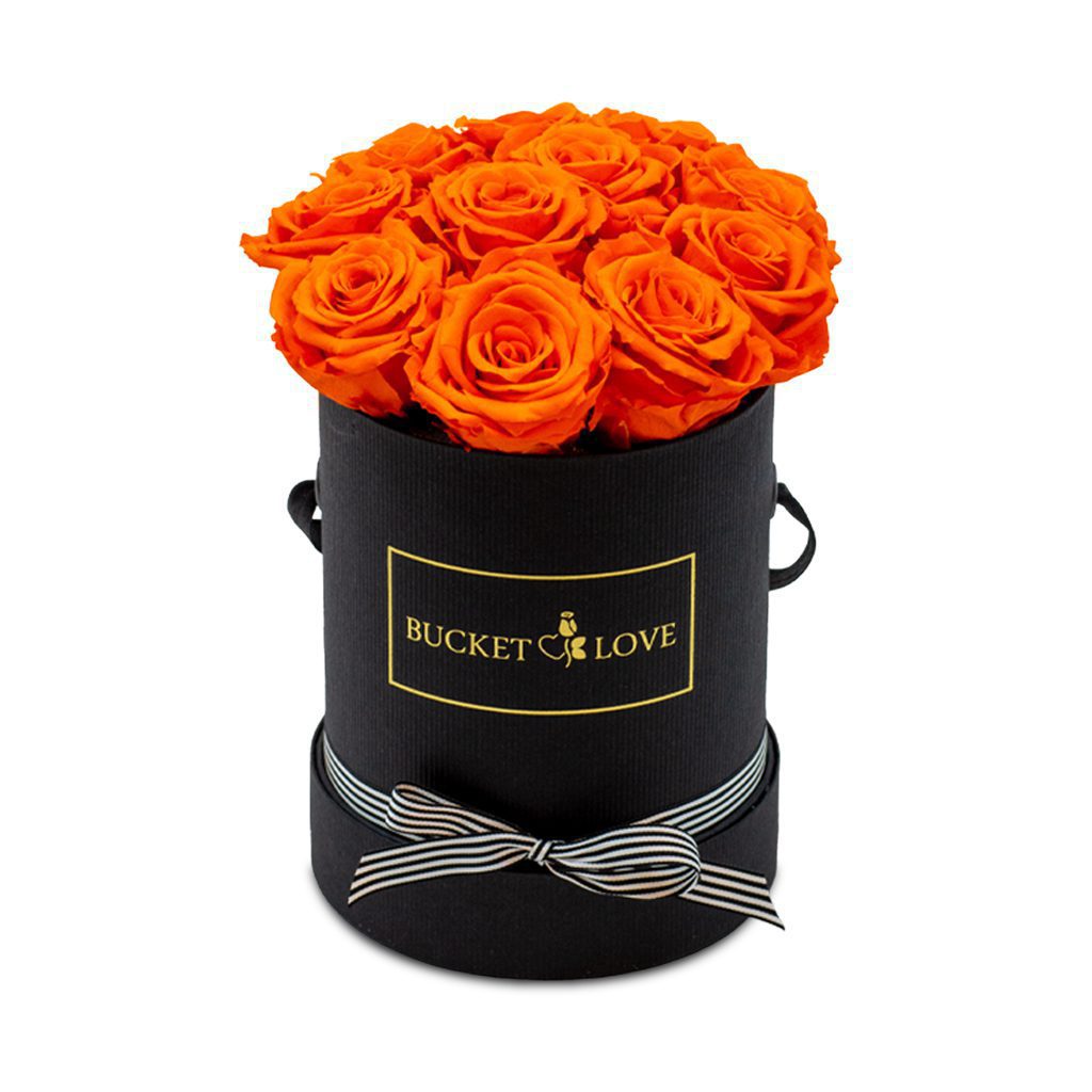 Apricot Elegance (Forever Roses) – image 37