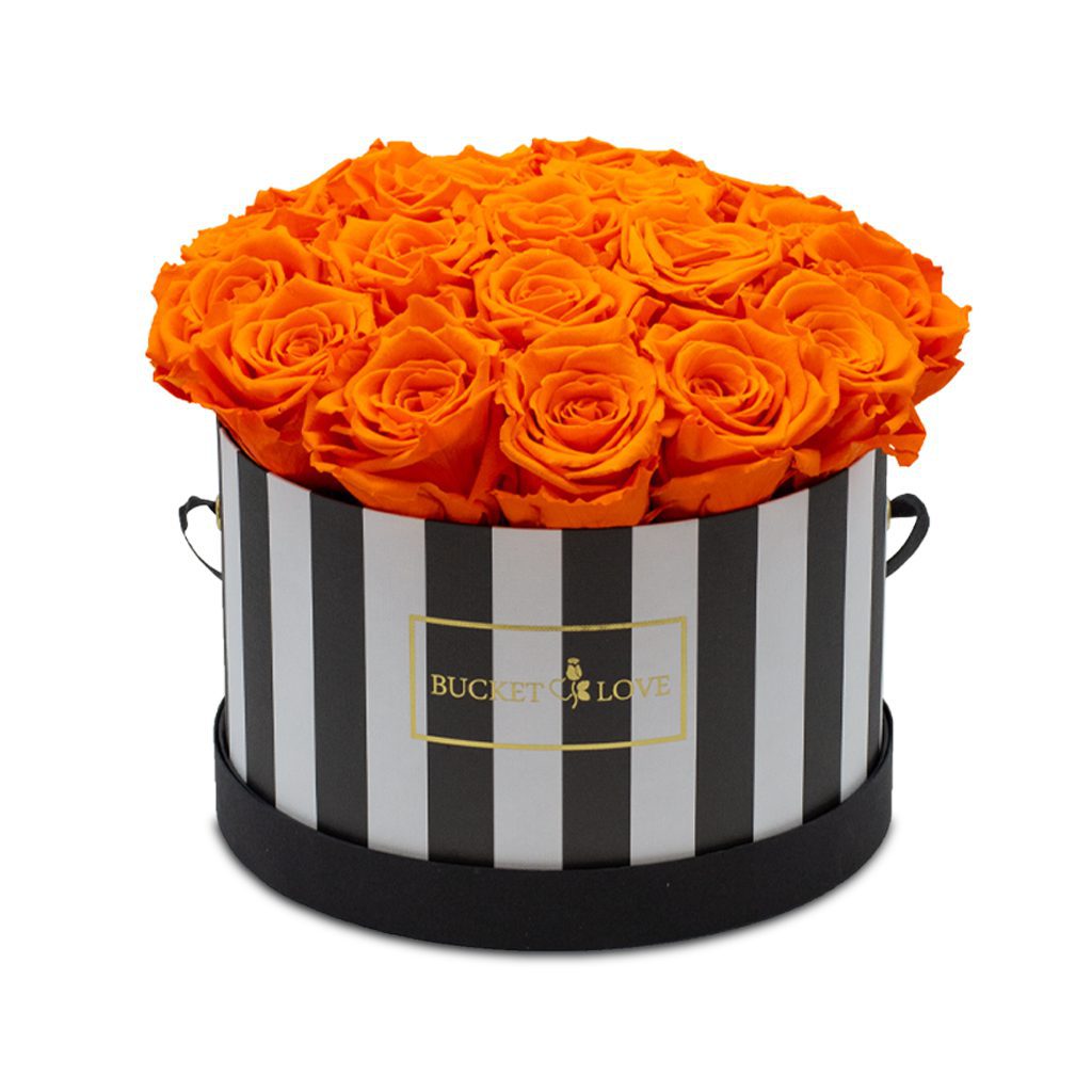 Apricot Elegance (Forever Roses) – image 41