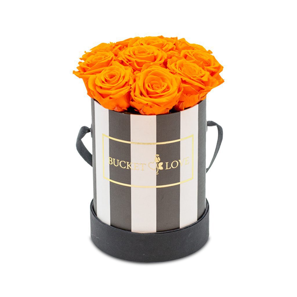 Apricot Elegance (Forever Roses) – image 40