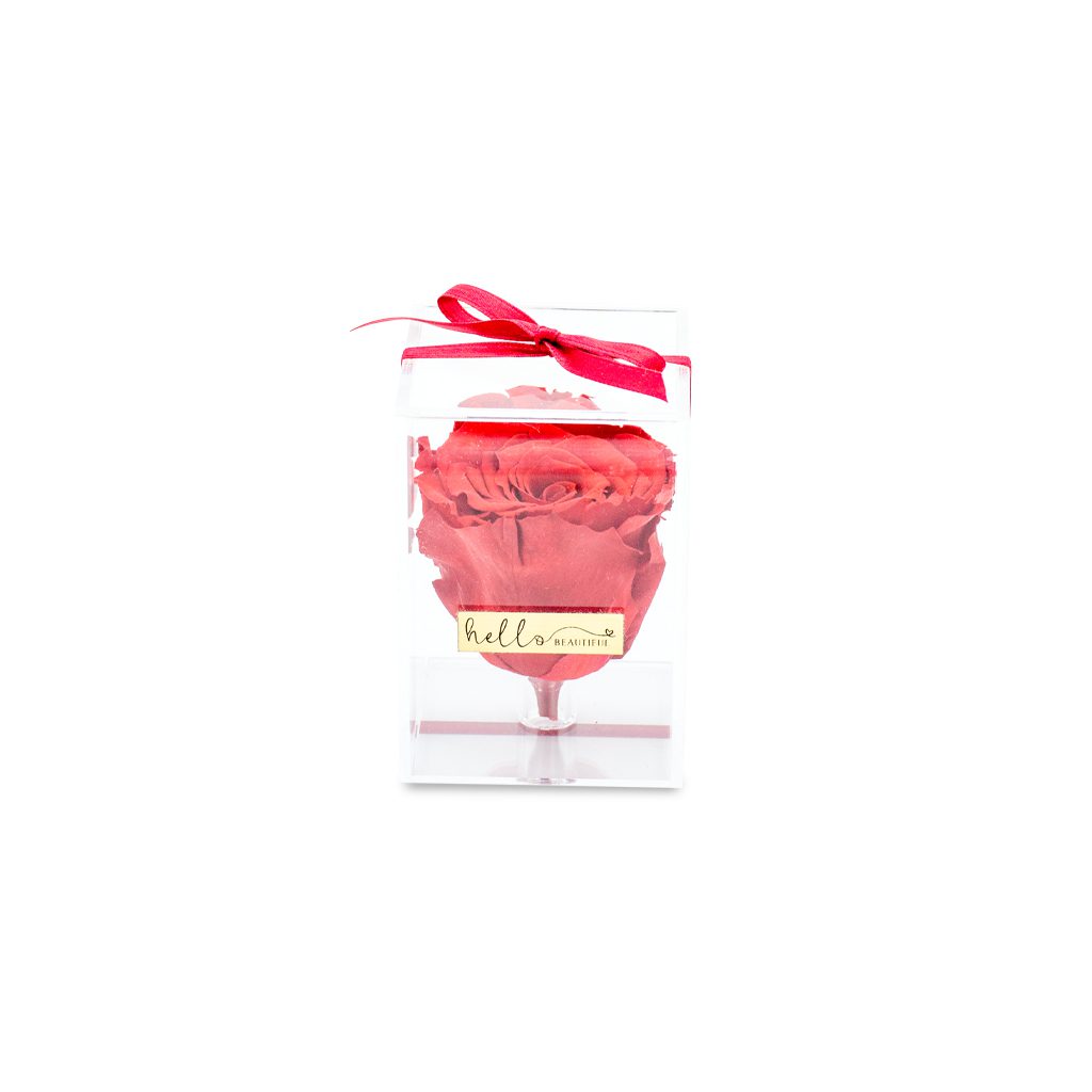 Best of Me (Forever Roses) – image 36
