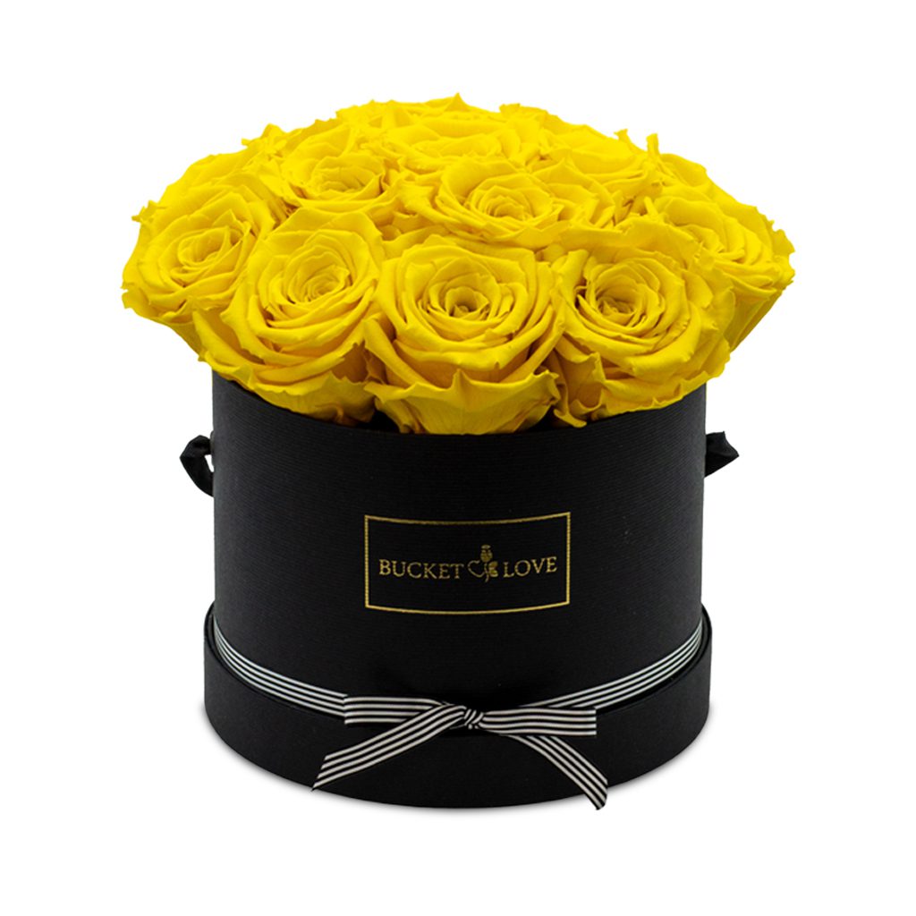 Apricot Elegance (Forever Roses) – image 50