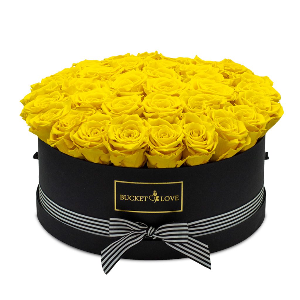 Apricot Elegance (Forever Roses) – image 51