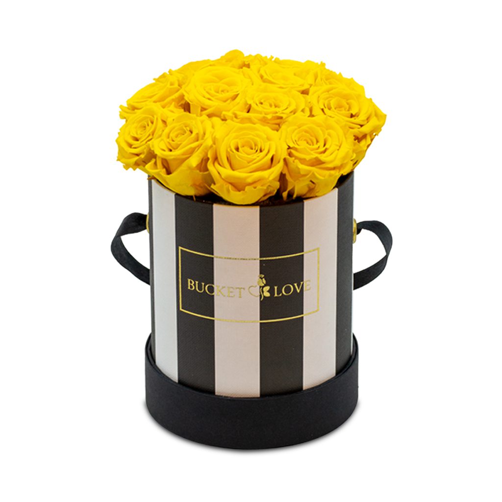 Apricot Elegance (Forever Roses) – image 52