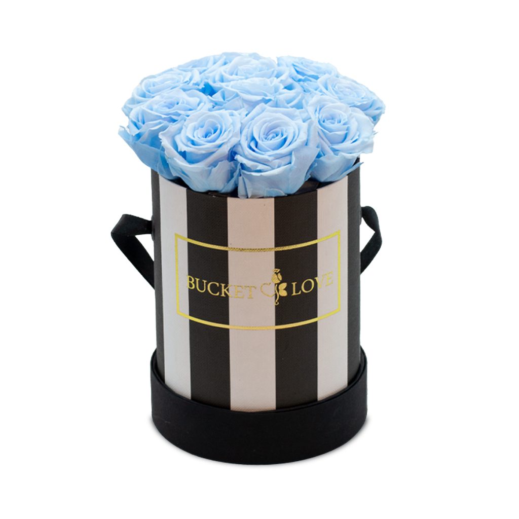 Apricot Elegance (Forever Roses) – image 63