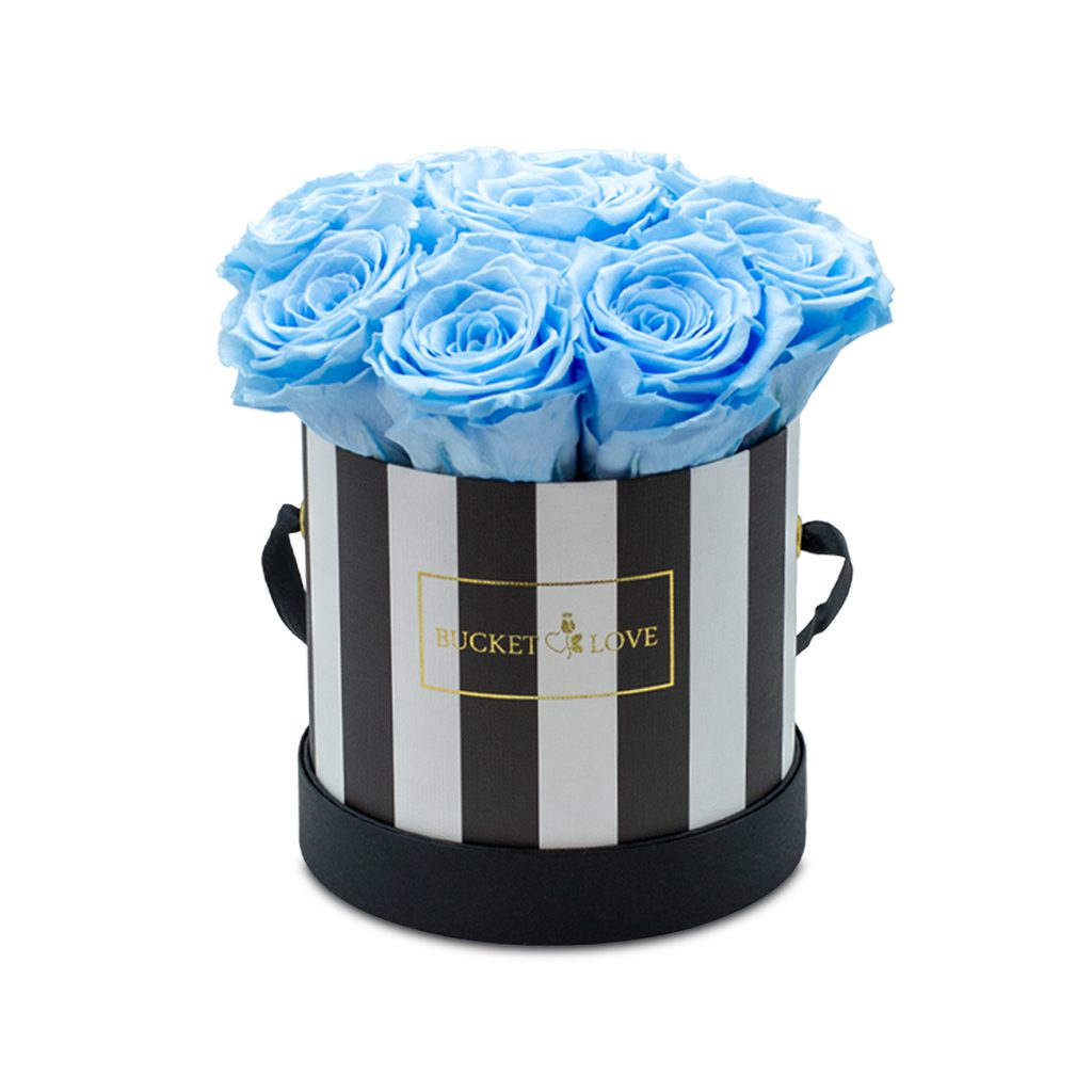 Apricot Elegance (Forever Roses) – image 64