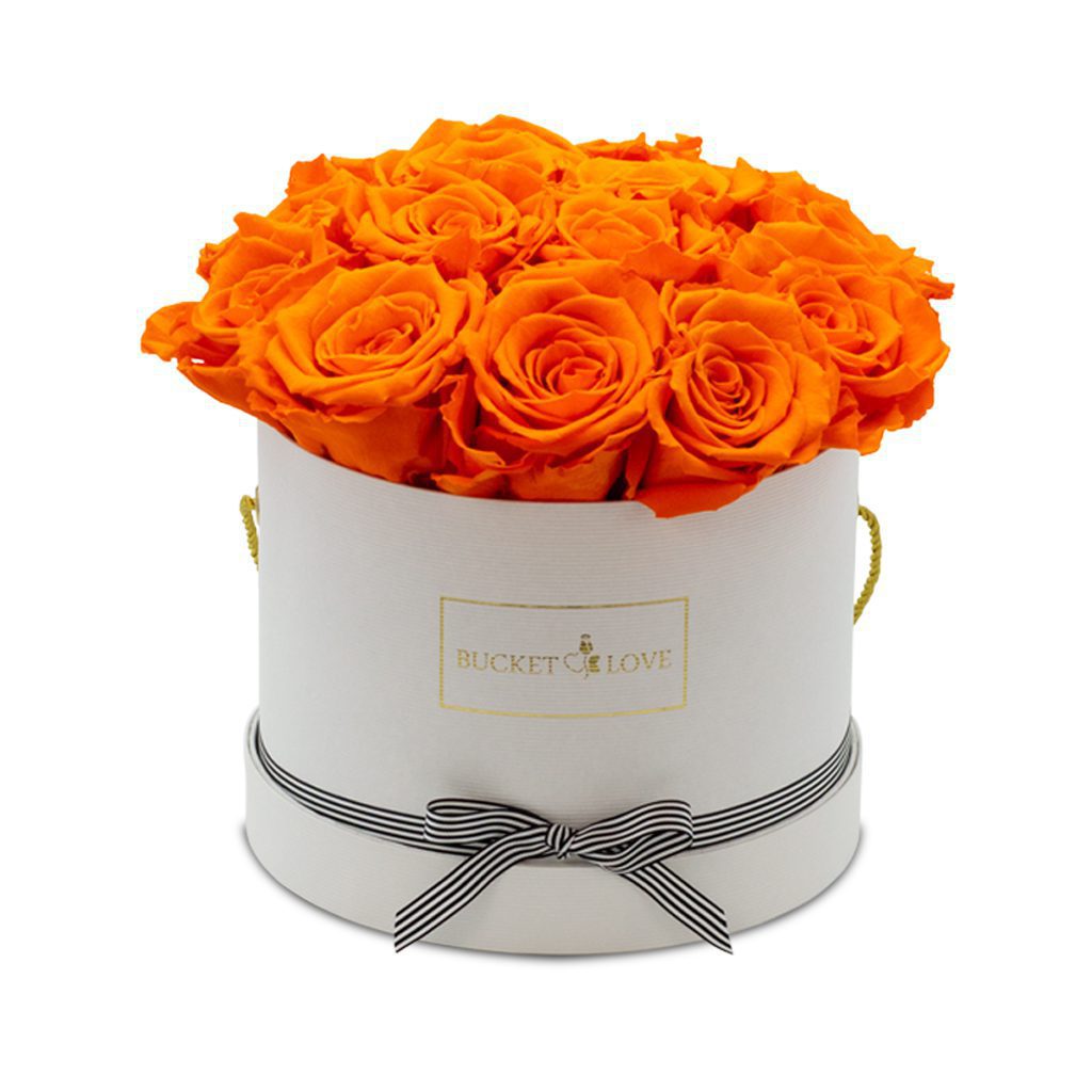 Apricot Elegance (Forever Roses) – image 68