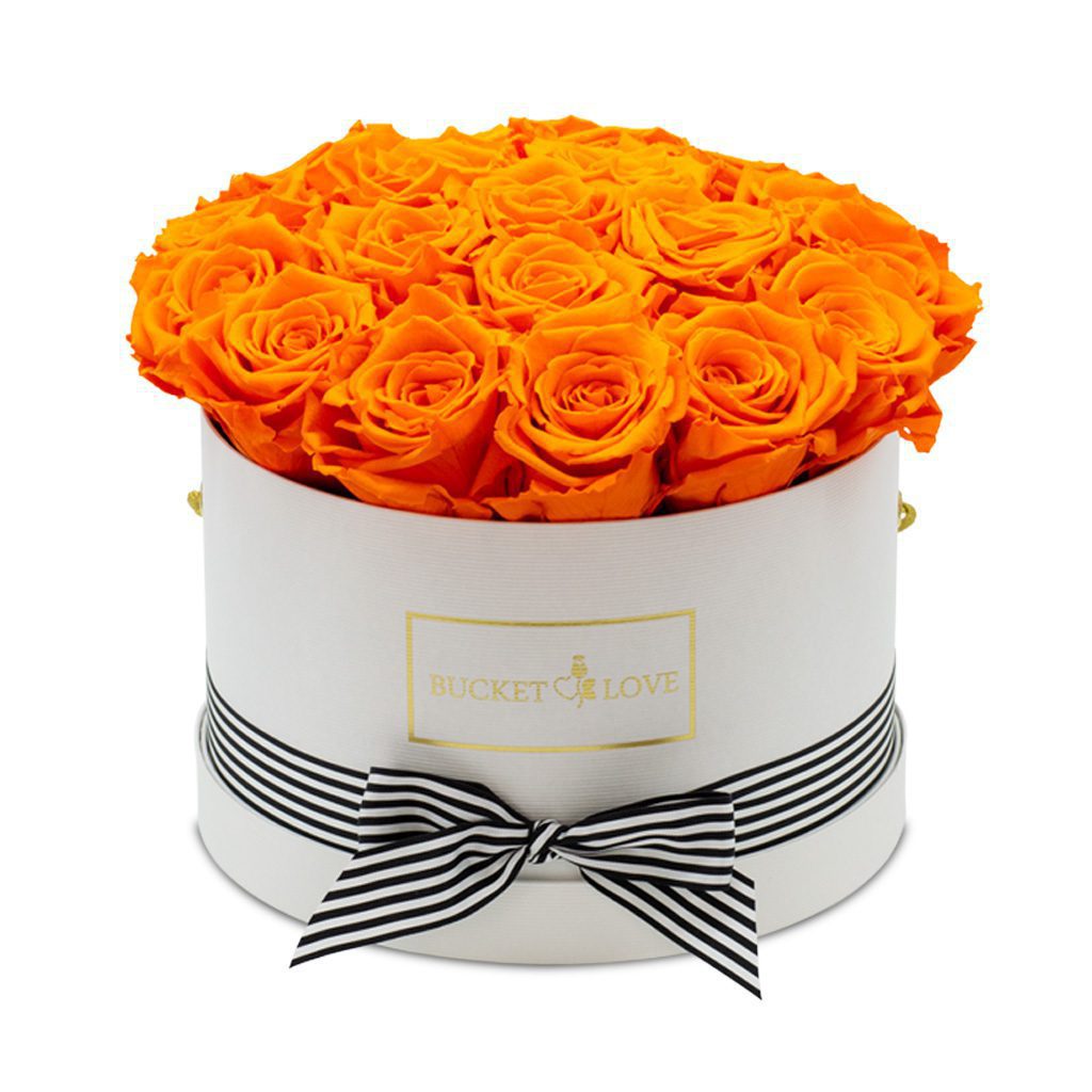 Apricot Elegance (Forever Roses) – image 69