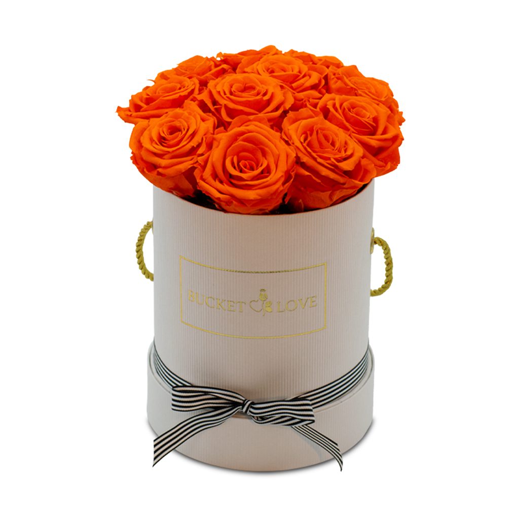 Apricot Elegance (Forever Roses) – image 67