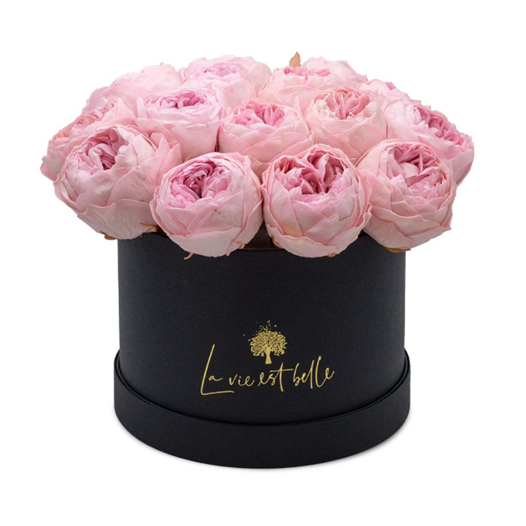 Apricot Elegance (Forever Roses) – image 74