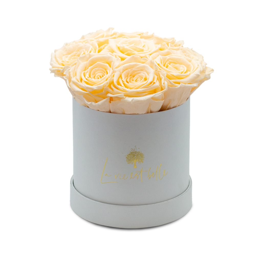 Apricot Elegance (Forever Roses) – image 76