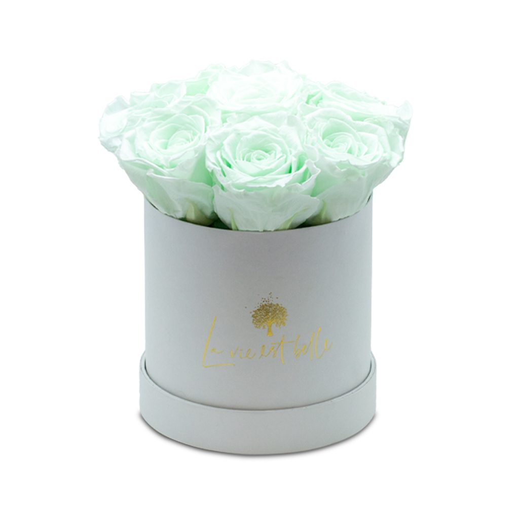 Apricot Elegance (Forever Roses) – image 77