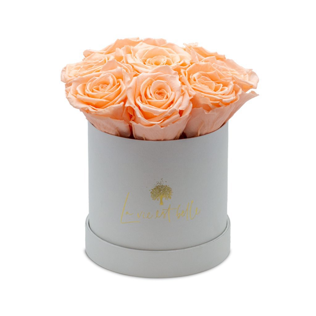 Apricot Elegance (Forever Roses) – image 78