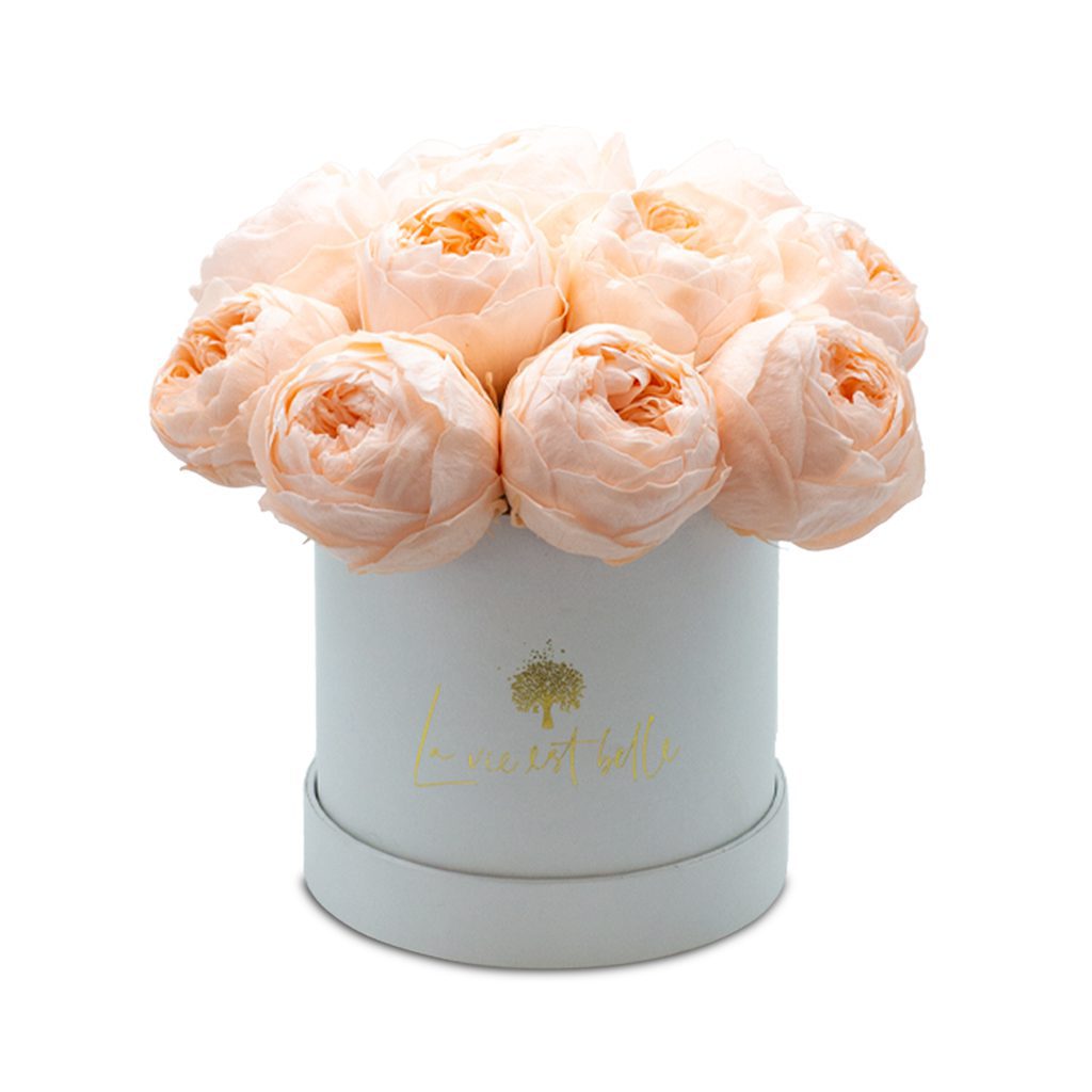 Apricot Elegance (Forever Roses) – image 79