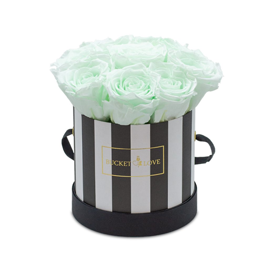 Apricot Elegance (Forever Roses) – image 81