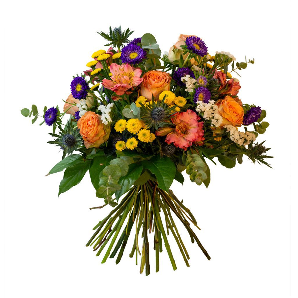 Apricot Elegance (Forever Roses) – image 87