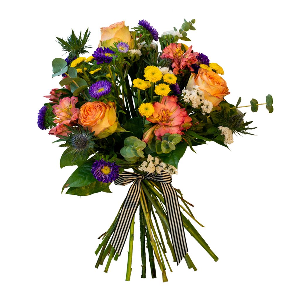 Apricot Elegance (Forever Roses) – image 88
