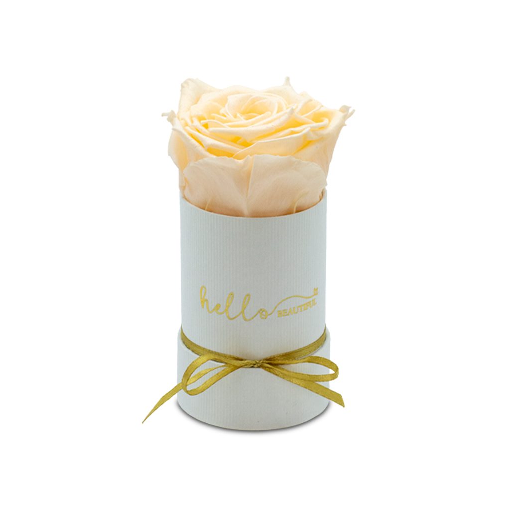 Apricot Elegance (Forever Roses) – image 95