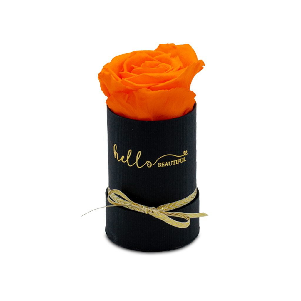 Apricot Elegance (Forever Roses) – image 96