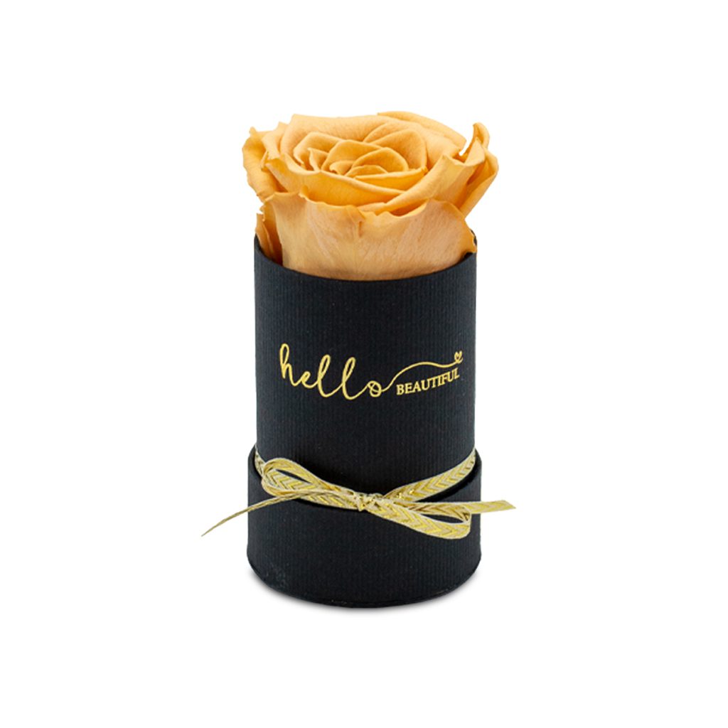 Apricot Elegance (Forever Roses) – image 97