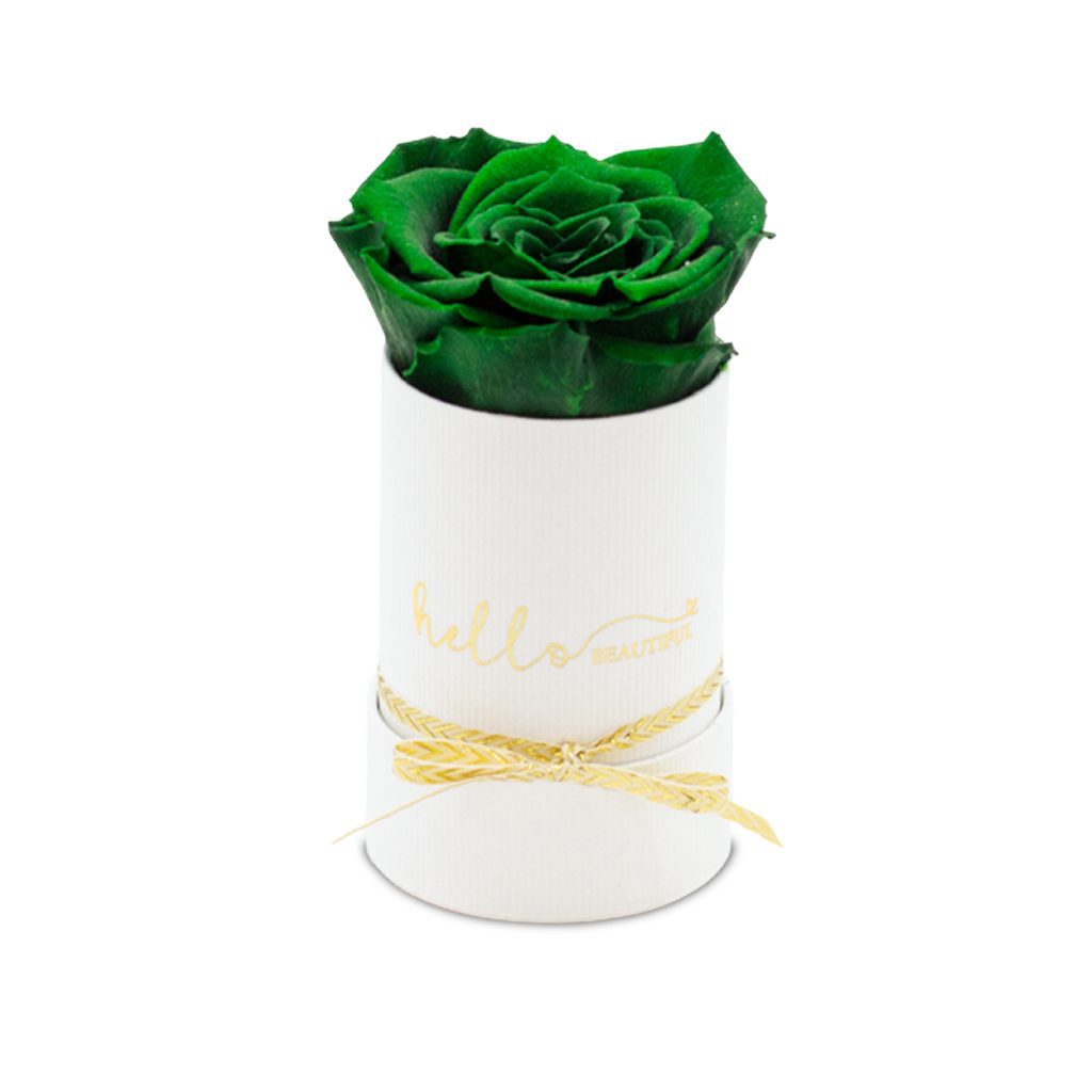 Apricot Elegance (Forever Roses) – image 100