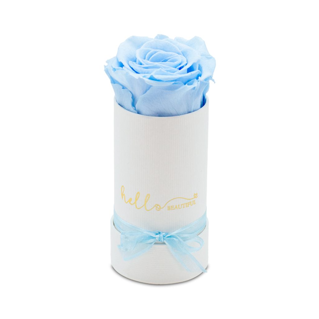 Apricot Elegance (Forever Roses) – image 101