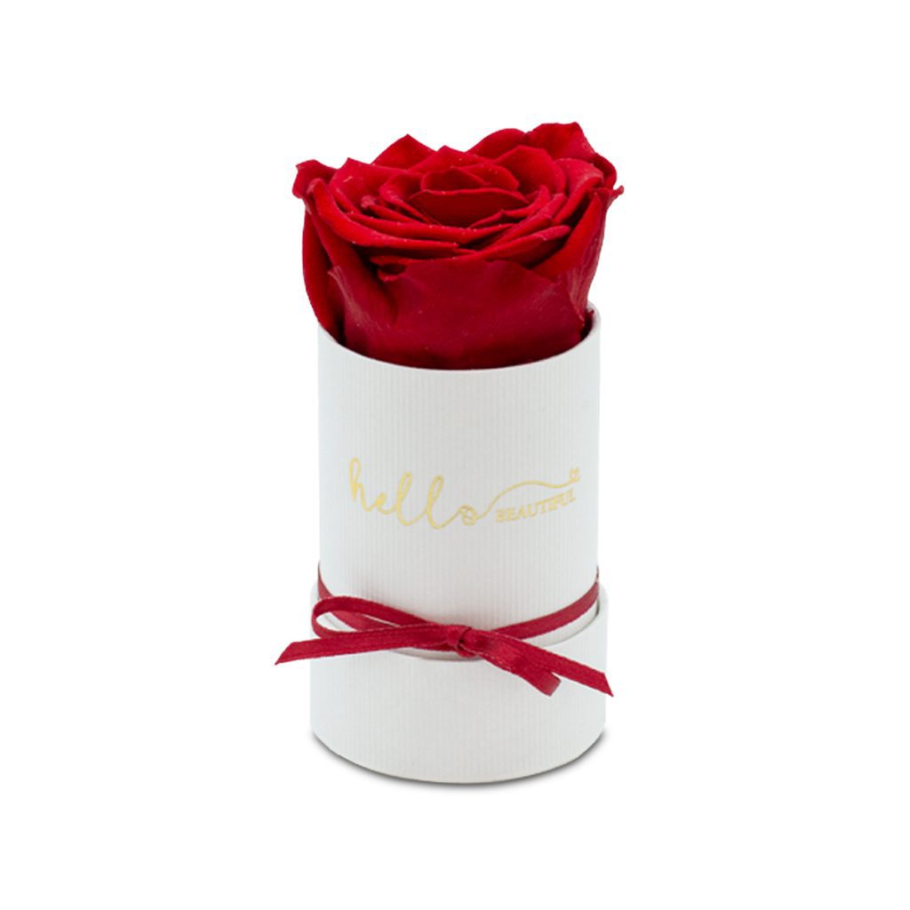 Apricot Elegance (Forever Roses) – image 102
