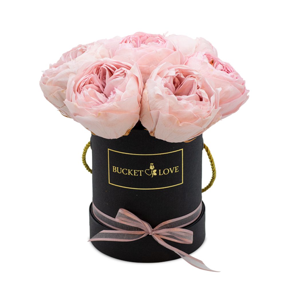 Apricot Elegance (Forever Roses) – image 107