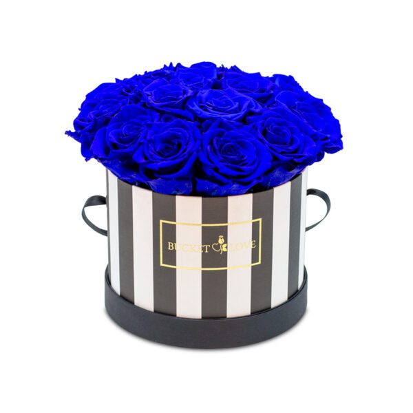 Apricot Elegance (Forever Roses) – image 122