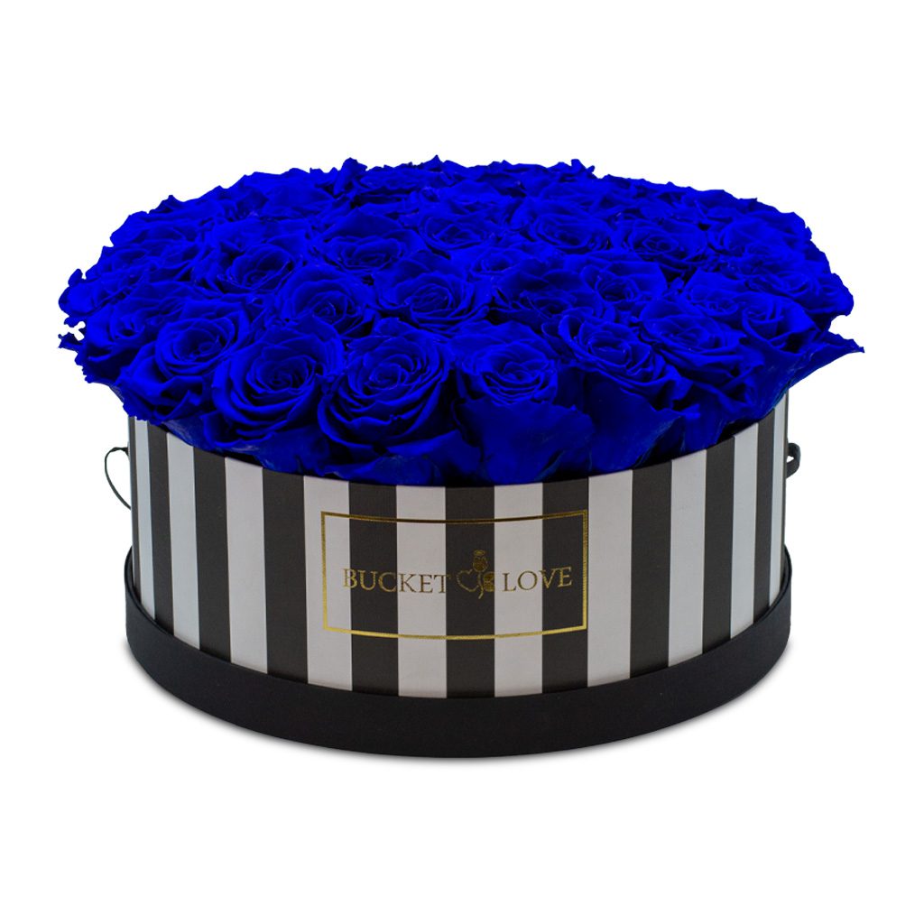 Apricot Elegance (Forever Roses) – image 125