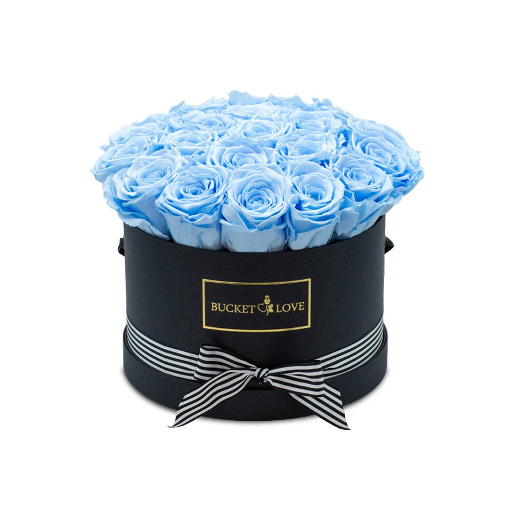 Apricot Elegance (Forever Roses) – image 133