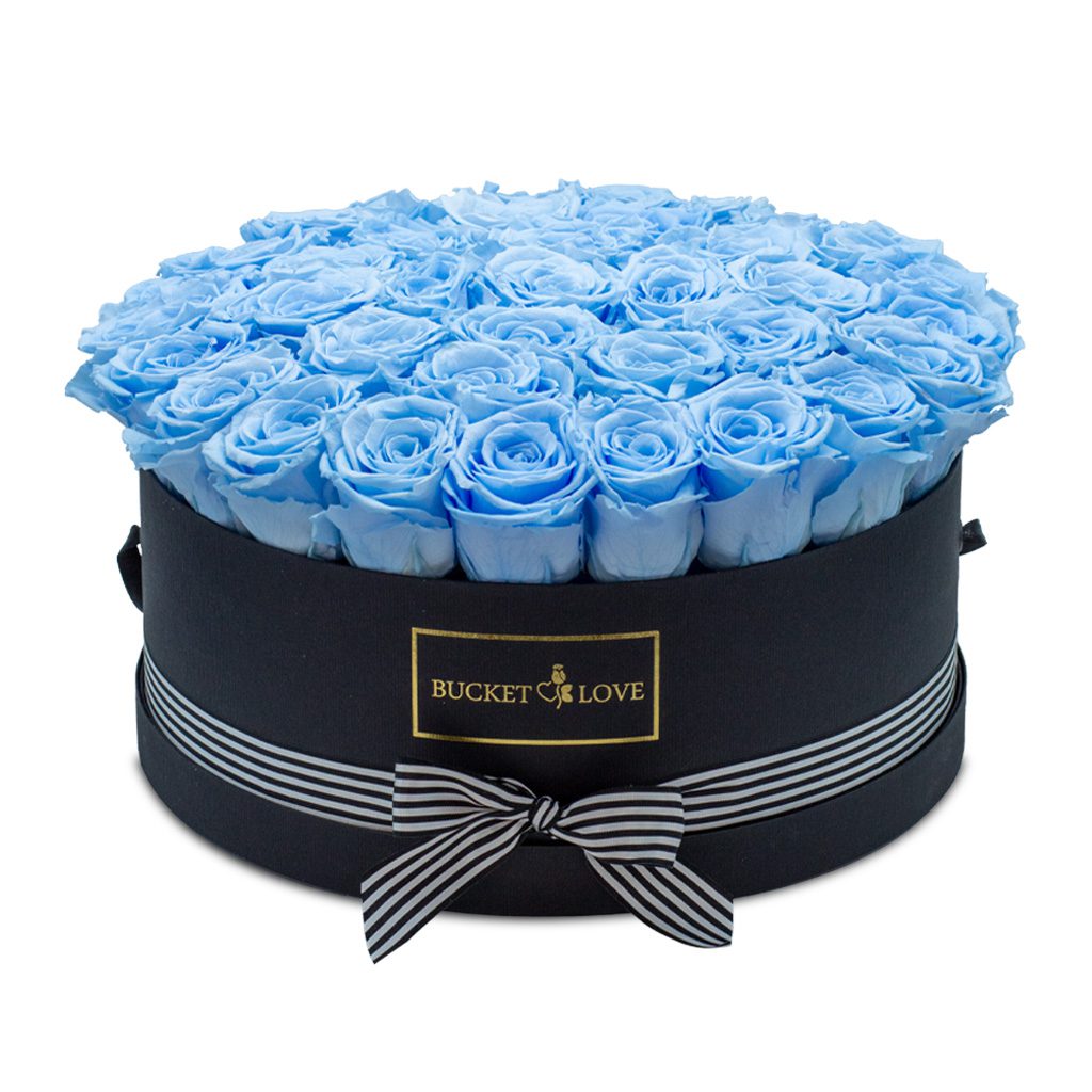 Apricot Elegance (Forever Roses) – image 135