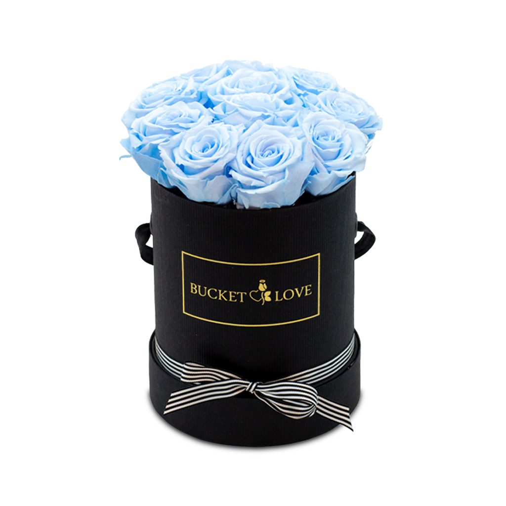 Apricot Elegance (Forever Roses) – image 131