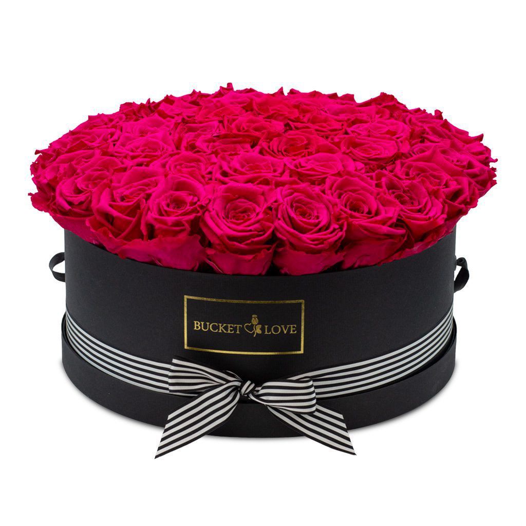 Apricot Elegance (Forever Roses) – image 136