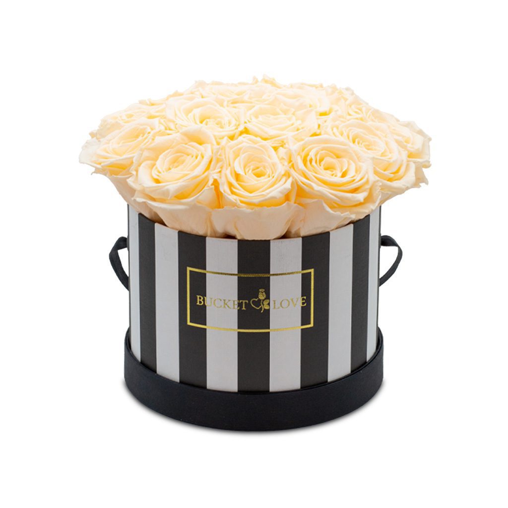 Apricot Elegance (Forever Roses) – image 138